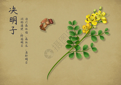 花草海报手绘中国风中药插画