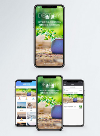 石雕花盆命运手机海报配图模板
