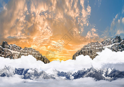 冬季深林雪景夕阳下的雪景设计图片
