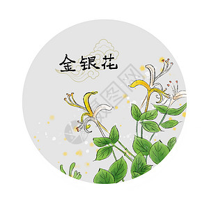 金银花花茶中草药插画插画