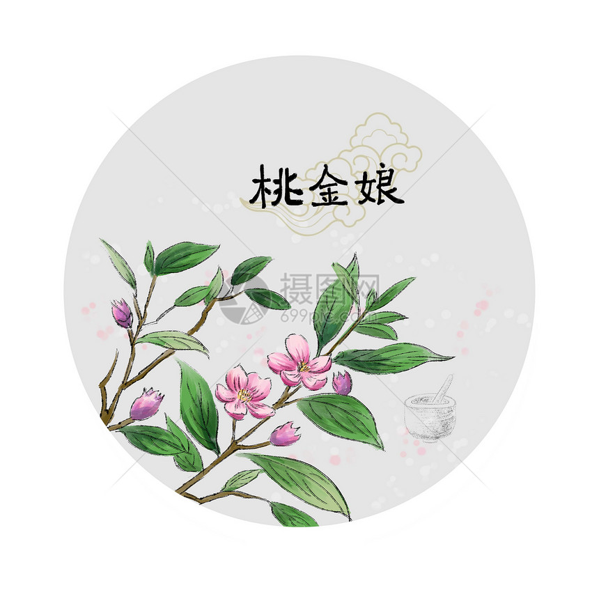 中草药插画图片