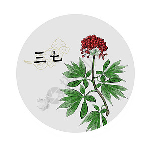 中草药插画背景图片