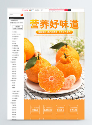 丰富背景营养好味道丑橘促销淘宝详情页模板
