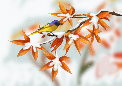 手绘冬季落雪小鸟树图片
