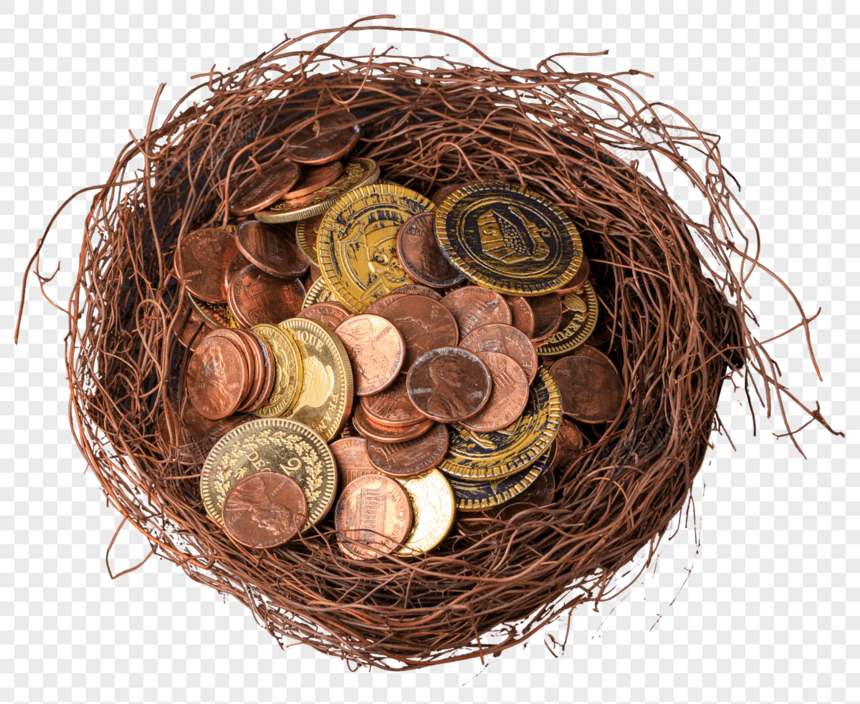 鸟巢中的钱币图片