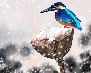冬季花鸟图背景图片