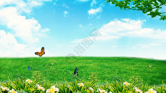 自由花丛春天蝴蝶飞舞设计图片