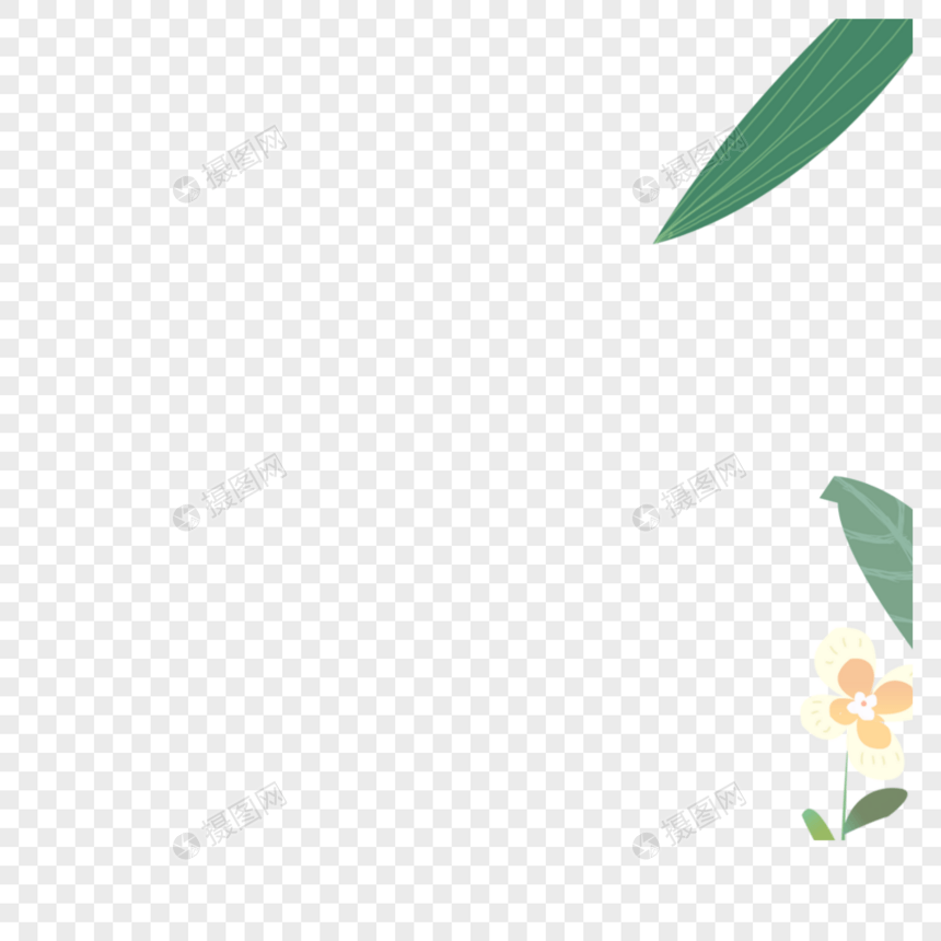 花朵绿叶图片