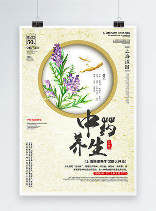 黄芩根中国风草药养生海报模板
