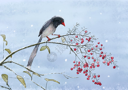 红色果子冬天水墨的鸟插画