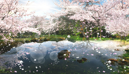 叶子雨桃花飘落设计图片