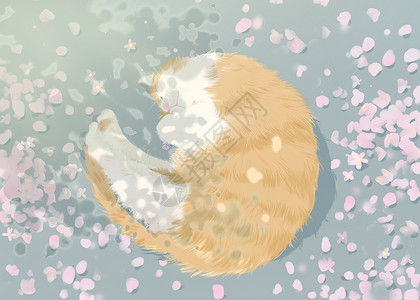 温暖猫樱花树下的猫插画