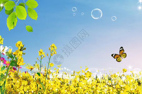 美丽黄色花丛春天花丛设计图片