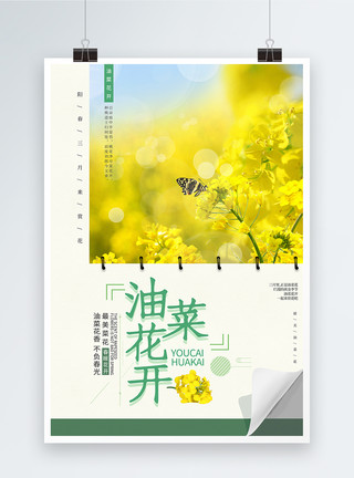 手写阳春三月简约油菜花开赏花海报模板