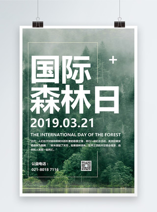 3月好海报绿色国际森林日海报模板