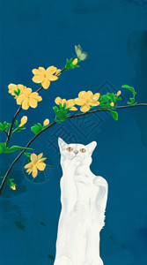 花瓶树枝猫与迎春花高清图片
