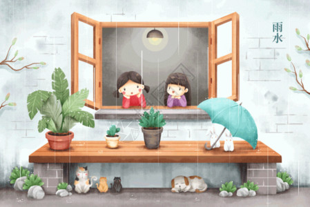 猫和窗户雨水高清图片