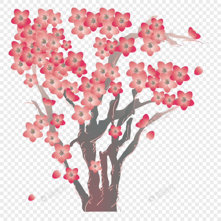 樱花树浪漫樱花节图片