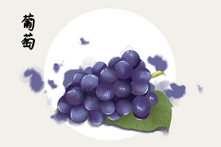 水果葡萄插画背景图片