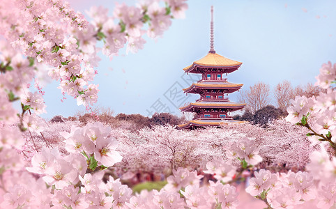 中台宝塔樱花盛开的春天设计图片