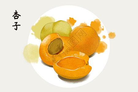 水果杏子插画背景图片