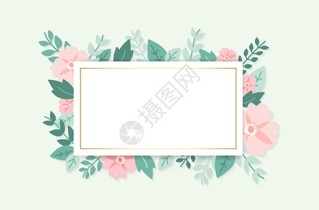 清新植物树叶边框花卉背景插画