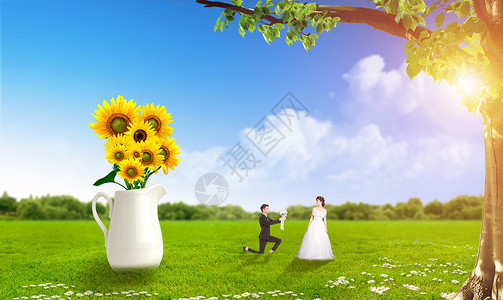 白色婚纱照浪漫求婚设计图片