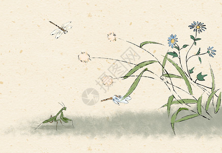 合掌螳螂水墨的动物植物插画