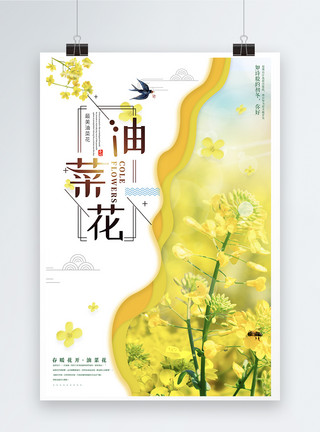 小清新春季踏青简洁油菜花旅游海报图片模板
