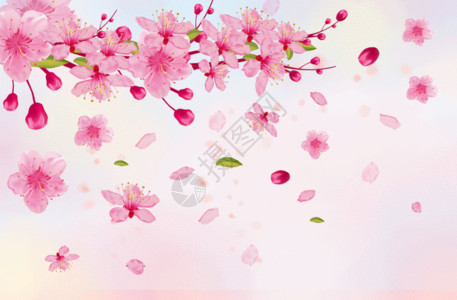 粉色鲜花背景樱花枝头盛开gif高清图片