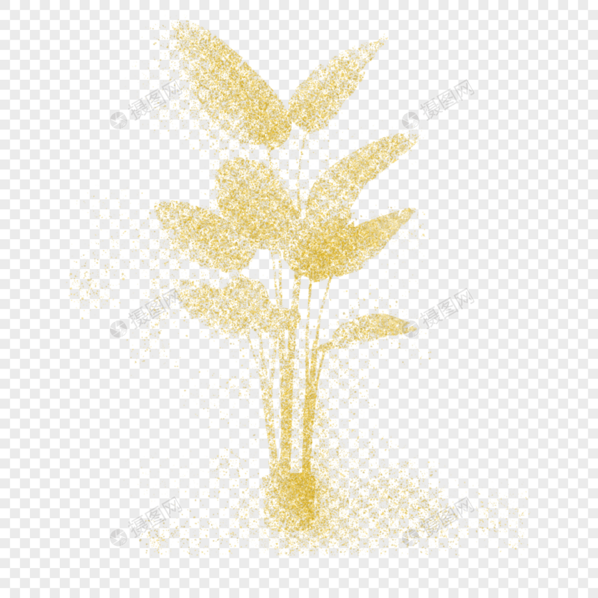 金色粉末植物图片