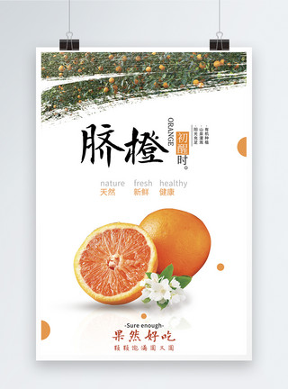 水果脐橙海报模板