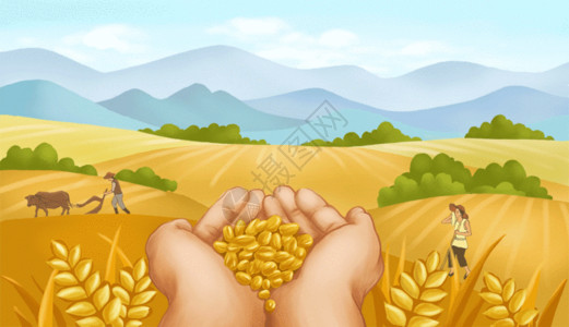 麦田里的农民珍惜粮食粒粒辛苦GIF高清图片
