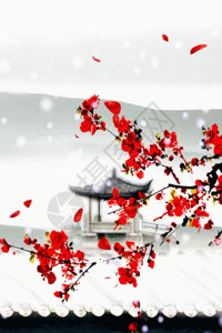 红色腊梅树梅花傲雪中莲h5动态背景素材高清图片