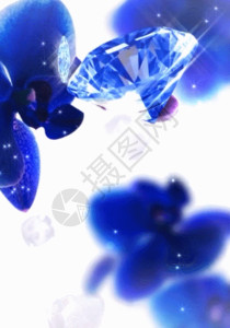 兰花新星兰花和钻石蓝色h5动态背景素材高清图片