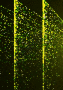 荧绿色粒子光束背景图片
