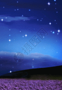 月夜薰衣草花园h5动态背景图片