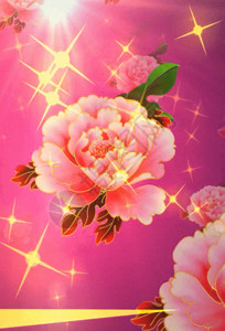 花朵邀请函牡丹星光喜庆中国风背景素材高清图片