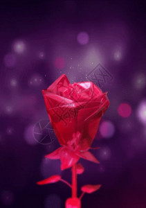 花瓶玫瑰玫瑰花花瓣梦幻情人节婚礼婚庆背景高清图片