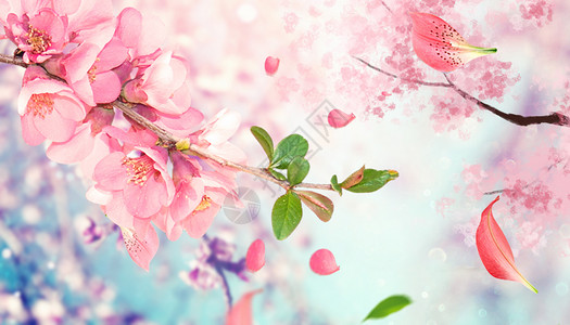 粉色树林樱花树林设计图片