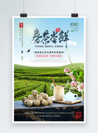 茶叶教学素材绿色春天新茶上市海报模板