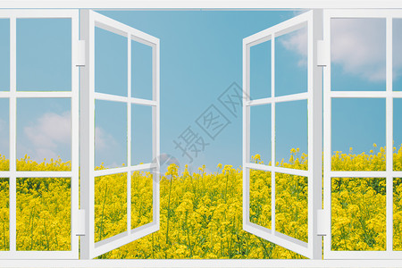 窗户美景窗外油菜花风景设计图片