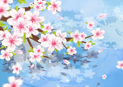 绿叶上的露珠春天樱花插画gif高清图片