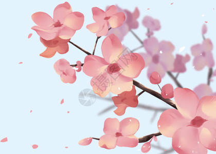 清新花卉植物樱花gif高清图片