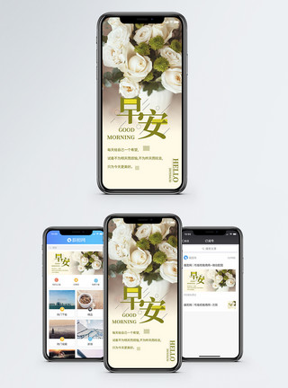 白玫瑰背景早安手机海报配图模板