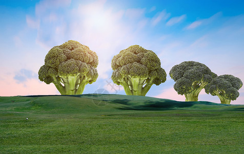 西兰花创意创意蔬菜设计图片