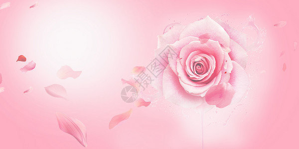 玫瑰护肤粉色电商背景设计图片