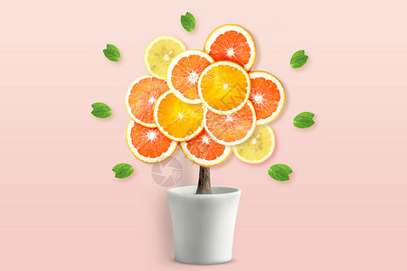 凤梨果盘创意橙子树设计图片