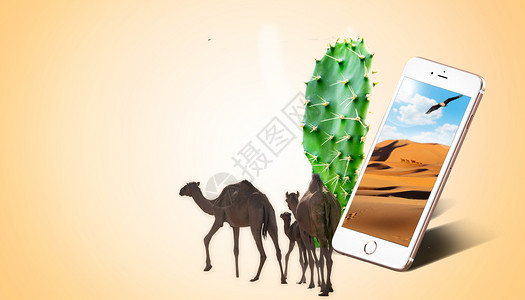 仙人掌沙漠创意沙漠骆驼设计图片