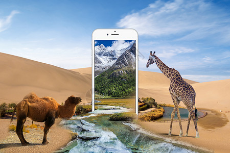 手机中的沙漠绿洲图片素材